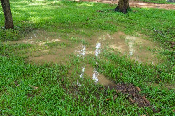Cost of Storm Water Drainage Service in Lynchburg