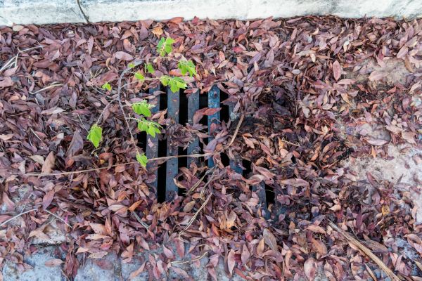 Cost of Yard Drain Unclogging in Lynchburg