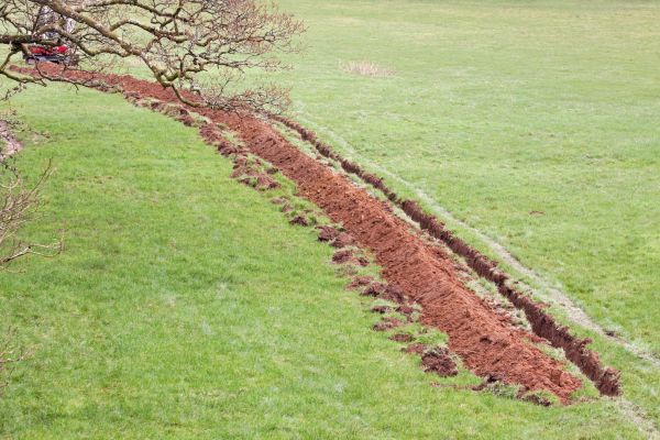 Cost of Swale Installation in Lynchburg