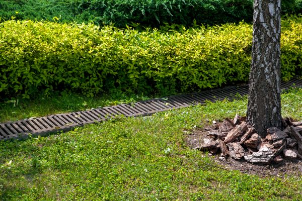 Cost of Residential Landscape Drainage in Lynchburg
